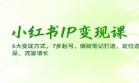 小红书IP变现课:6大变现方式,7步起号,爆款笔记打造,定位选品,流量增长