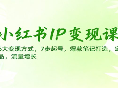 小红书IP变现课:6大变现方式,7步起号,爆款笔记打造,定位选品,流量增长