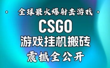 【年底大揭秘】基于全球最火爆的射击CSGO游戏挂G搬砖，日入5张+，震撼公开