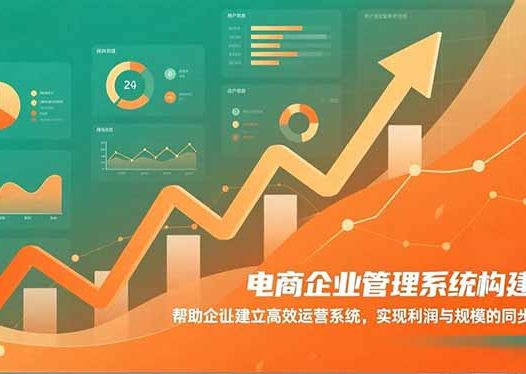 电商企业管理系统构建课：帮助企业建立高效运营系统，实现利润与规模的同步跃升