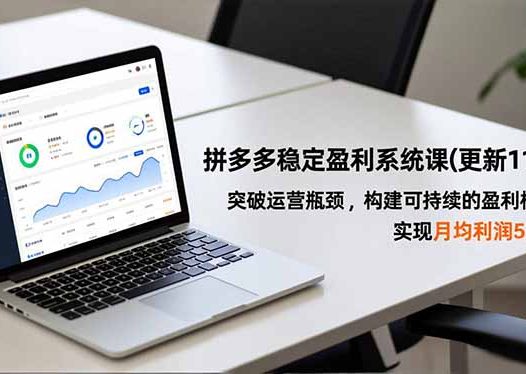 拼多多稳定盈利系统课(更新11月