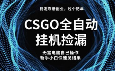 【稳定副业】全球最热门游戏CSGO全自动捡漏，最新玩法，新手小白日入5张+【揭秘】