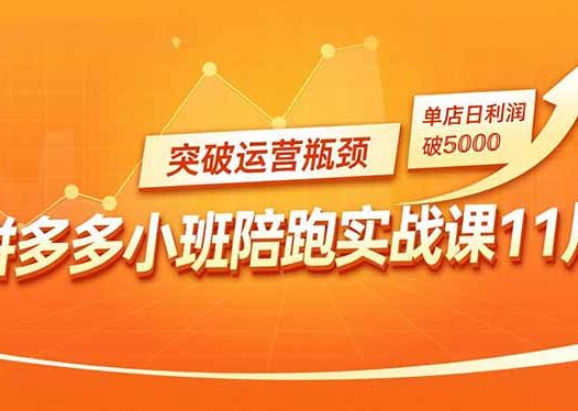 拼多多小班陪跑实战课11月，强付费矩阵、原价活动、暗券引流，突破运营瓶颈，单店日利润破5000