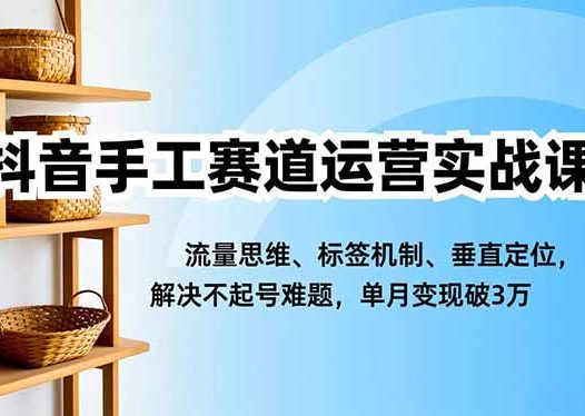 抖音手工赛道运营实战课，流量思维、标签机制、垂直定位，解决不起号难题，单月变现破3万