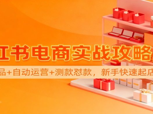 小红书电商实战攻略3.0：开店选品+自动运营+测款怼款，新手快速起店盈利