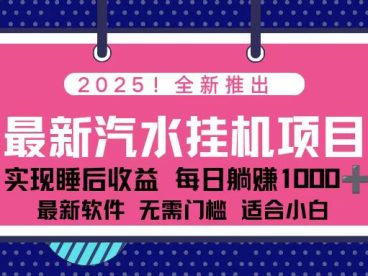 2025最新汽水音乐挂机项目 每天几分钟 轻松上w