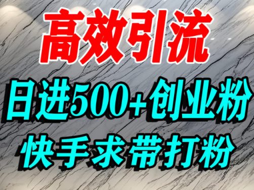 怎么打创业粉？快手求带视角精准引流创业粉，宝妈、学生群体日进500+精准流量