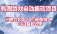 韩国游戏自动搬砖项目，日收益1k+，可矩阵放大，小白轻松入手【揭秘】