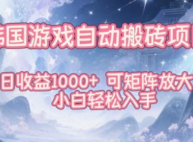 韩国游戏自动搬砖项目，日收益1k+，可矩阵放大，小白轻松入手【揭秘】
