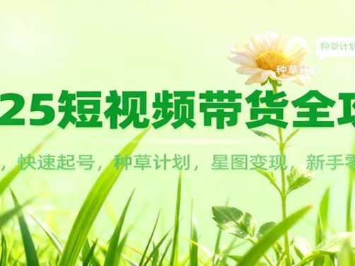2025短视频带货全攻略：爆款文案，快速起号，种草计划，星图变现，新手零门槛上手