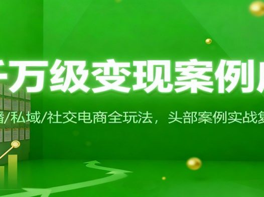千万级变现案例库：直播/私域/社交电商全玩法，200+头部案例实战复盘