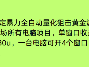 电脑EA策略挂机项目单窗口收益20-30u，单电脑可挂5-10个窗口收益稳健4位数