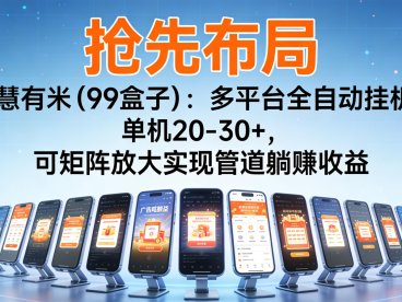 抢先布局慧有米(99盒子)：多平台全自动挂机，单机20-30+，可矩阵实现管道躺赚
