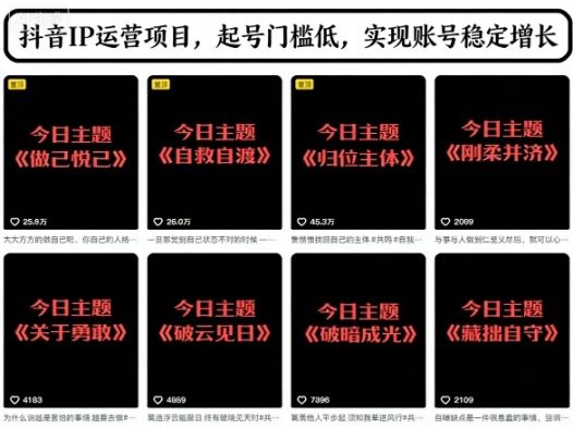 抖音IP运营项目，抖音今日主题玩法，起号门槛低，实现账号稳定增长
